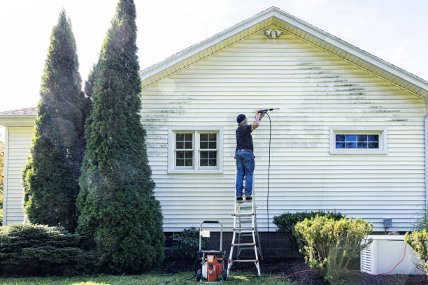 Best Exterior Home Cleaning  in Tulia, TX